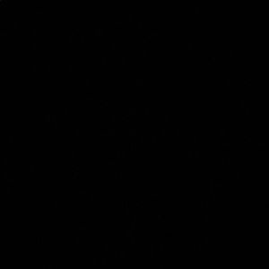 Meet your Posher, Lane